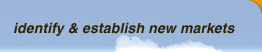 Identify & Establish New Markets